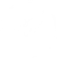 Художественные мастерские — студия им. игумена Илариона, г. Козельск