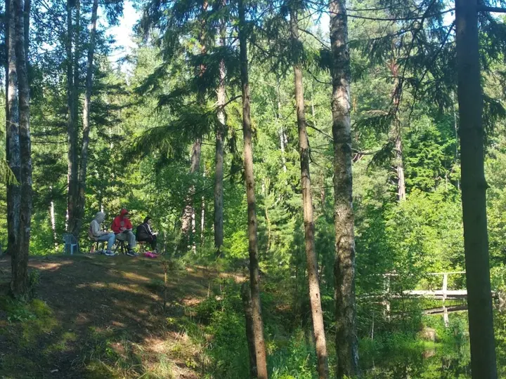 Пленер в конце учебного года — фото 28