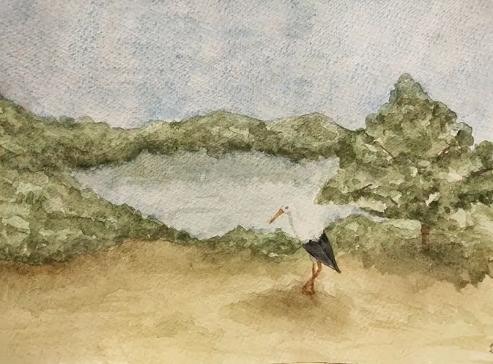 2 кл. Курилина Ксения (3)