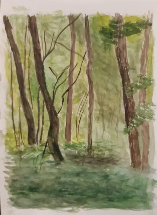 Алексеева Вера 2 кл.