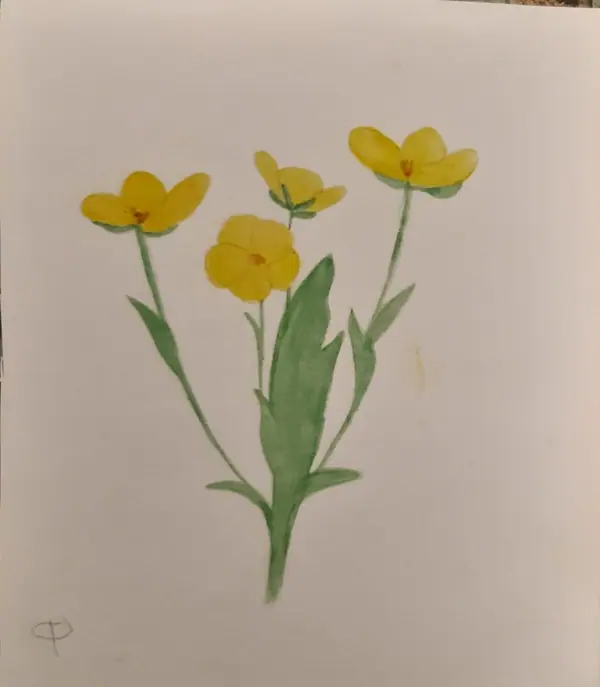 Егорова Руслана 1 кл.