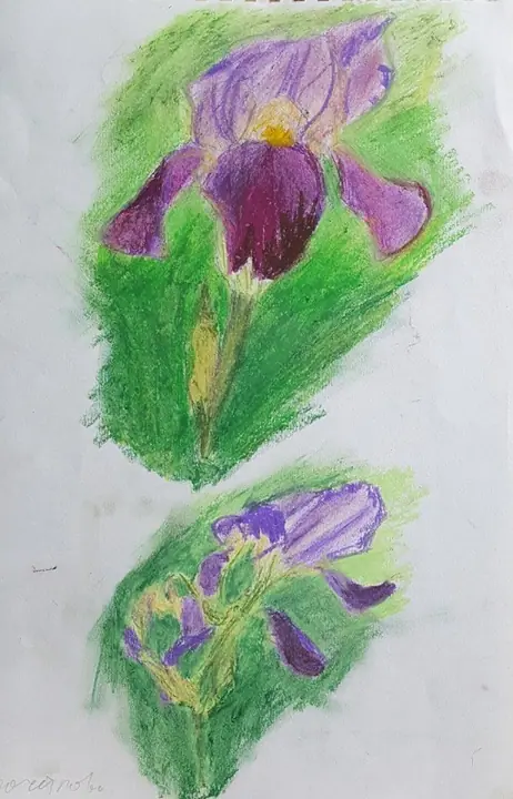 Кочеткова Мария 1 кл (2)