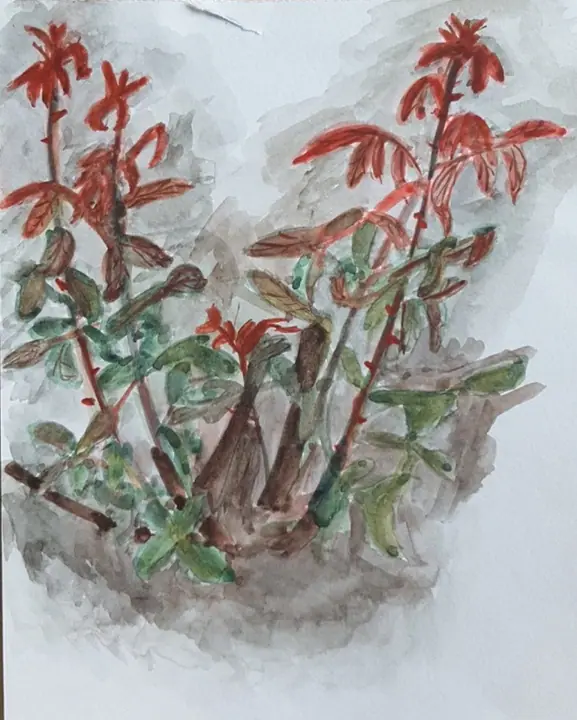 Кочеткова Мария 1 кл (5)
