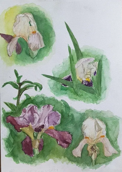 Кочеткова Мария 1 кл (6)