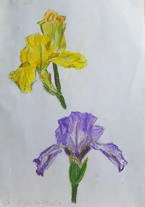 Кочеткова Мария 1 кл