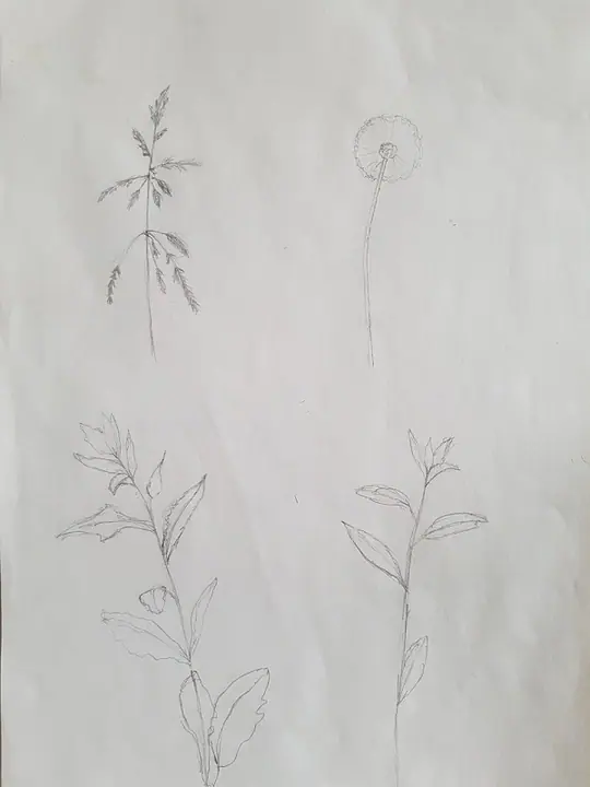 Коряковская Елизавета 2 кл.