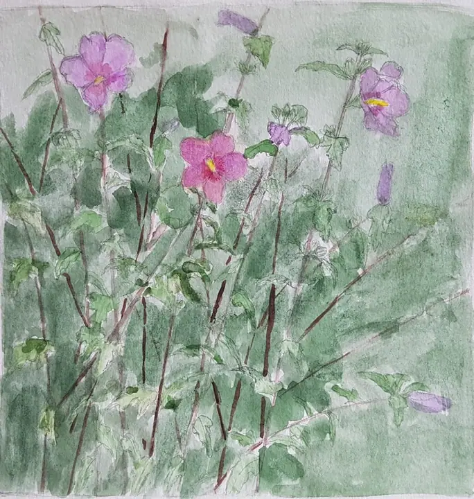 Коряковский Николай 4 кл.