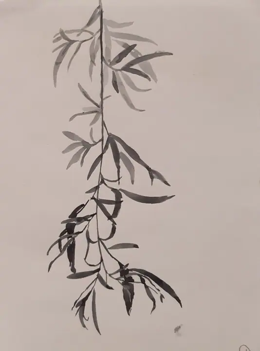 Кузина Ольга 1 кл