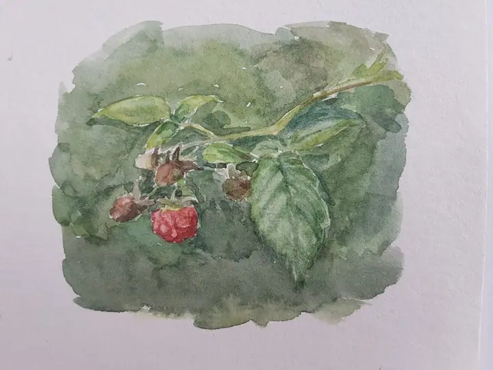 Кузина Ольга 2 кл. (10)