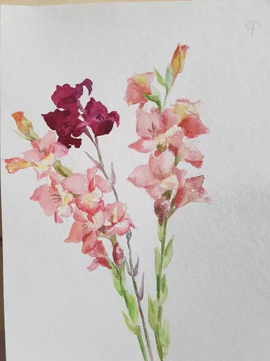 Кузина Ольга 2 кл. (3)