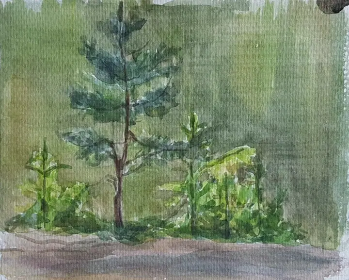 Кузина Ольга 2 кл (6)