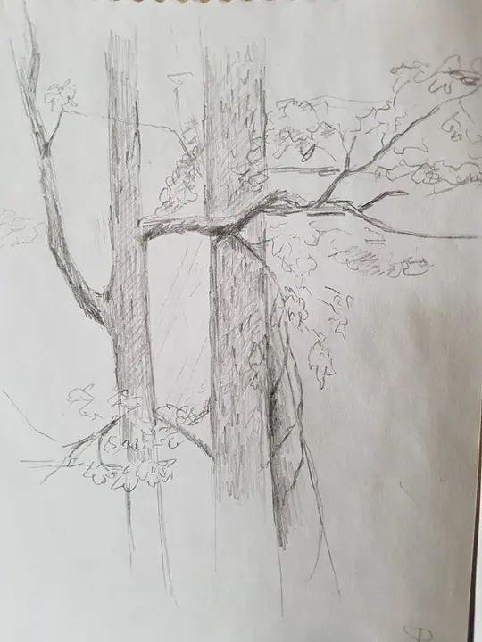 Кузина Ольга 2 кл. (7)
