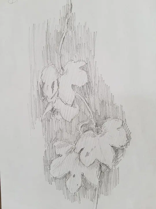 Кузина Ольга 2 кл. (8)