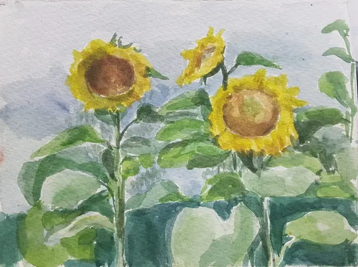 Кузина Ольга 3 кл лето 23 (14)