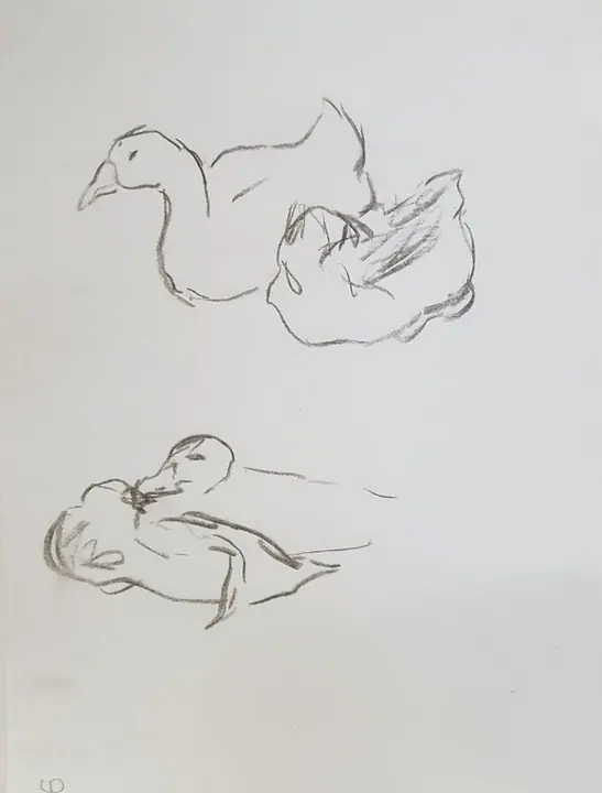 Кузина Ольга 3 кл лето 23 (8)