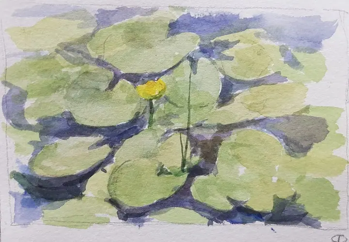 Кузина Ольга 3 кл лето 23 (9)