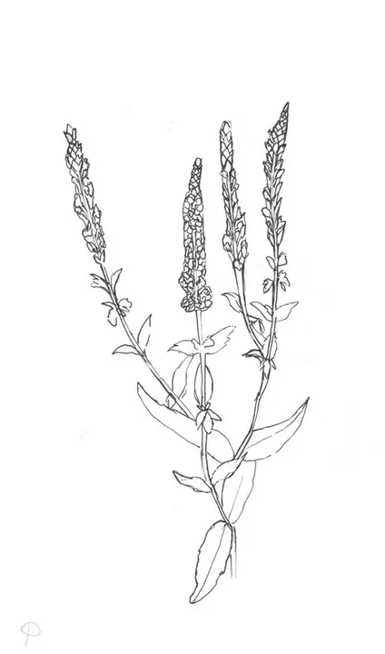 1 класс — фото 42
