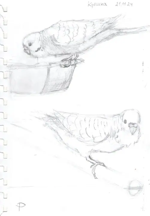 1 класс — фото 221