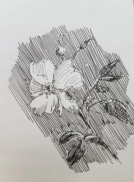 Моисеева Ульяна 4 кл лето 23 (8)