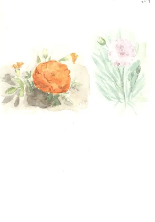 Сафронова Екатерина 1 кл (1)