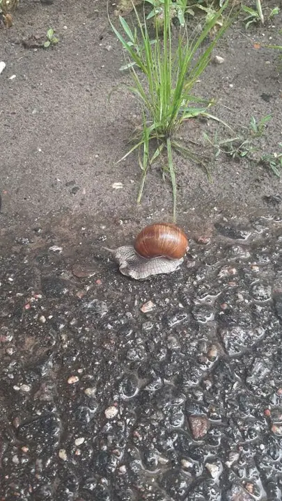 Летний лагерь в Республике Беларусь с детьми детско-юношеского хора Свято-Елисаветинского монастыря (г.Минск, Беларусь) — фото 66